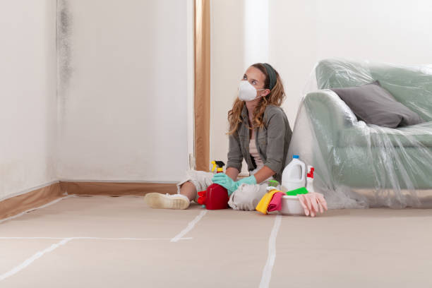 Reliable Basement Mold Remediation contractor in Elmont, NY by 24 Hour Mold Removal